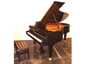 Bechstein B 210